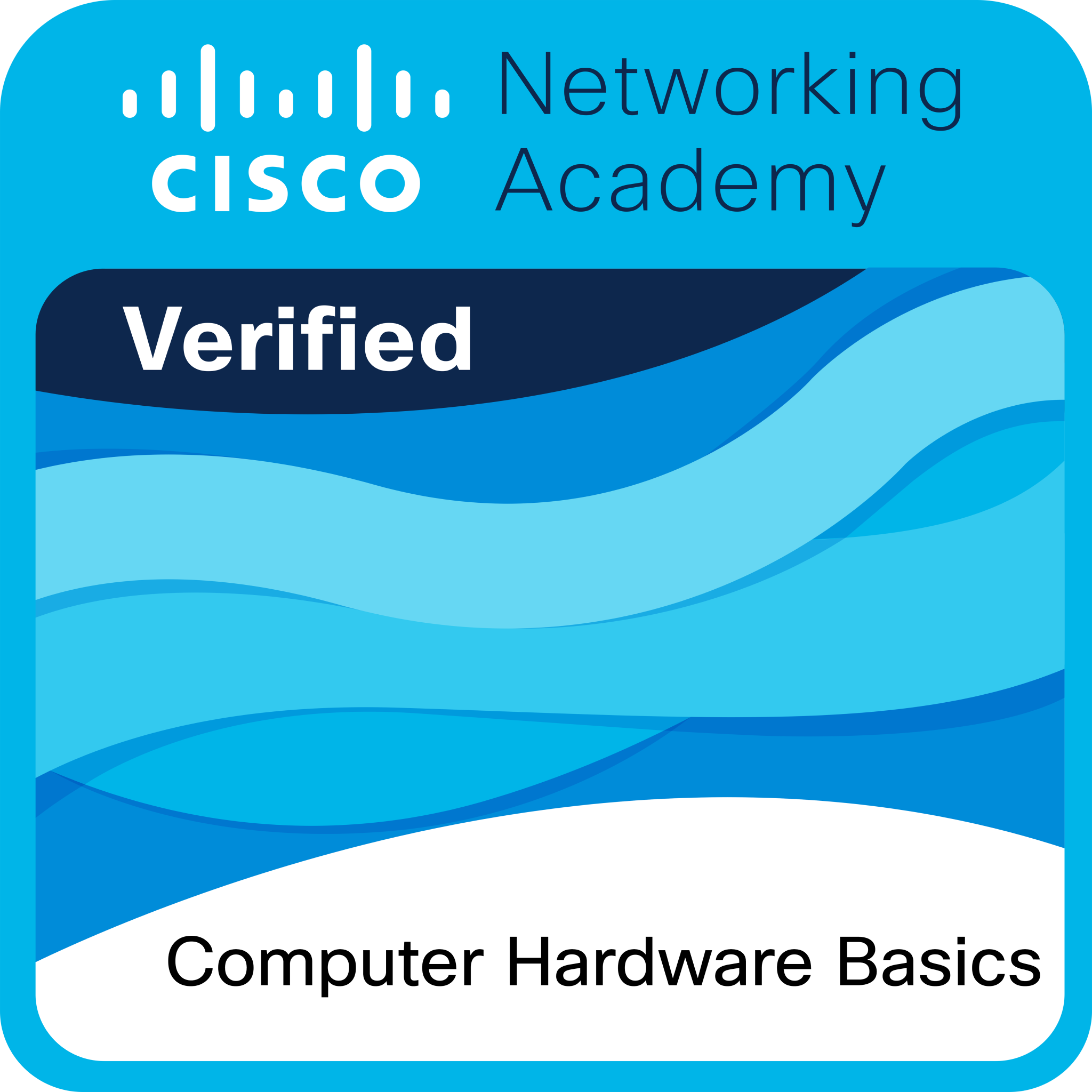 Computer Hardware Basics Certification